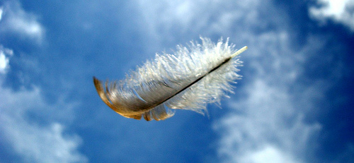 floating feather